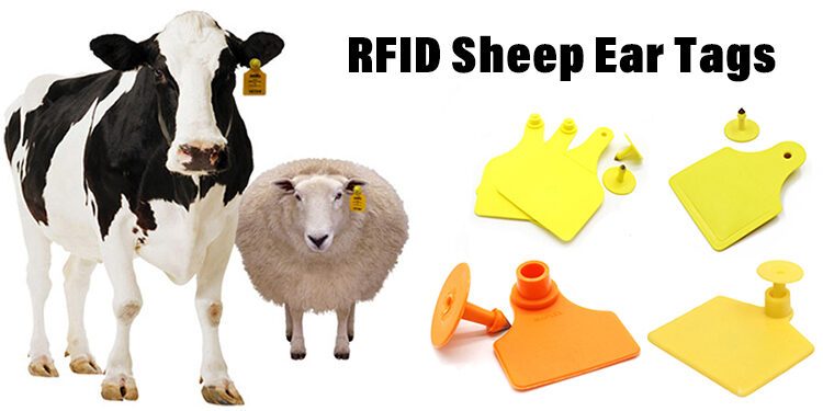 UHF RFID livestock ear tags